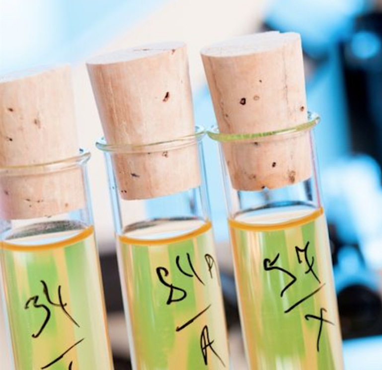 The Ultimate Guide to Food Additives: What’s Safe and What to Avoid